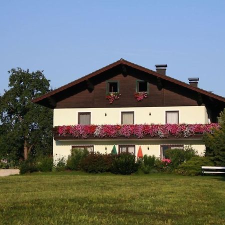 Ferienwohnungen Grabnerbauer Mondsee Oda fotoğraf